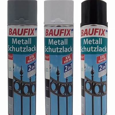 Ist Die Farbe Von Baufix Für Garagentore Gut? Alles, Was Sie Vor Dem Streichen Wissen Müssen