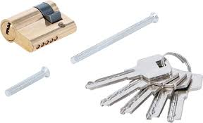 Schließzylinder 80 Und Garagentor 1 Schlüssel